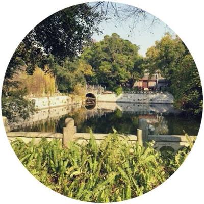 黑暗警笛头游戏下载